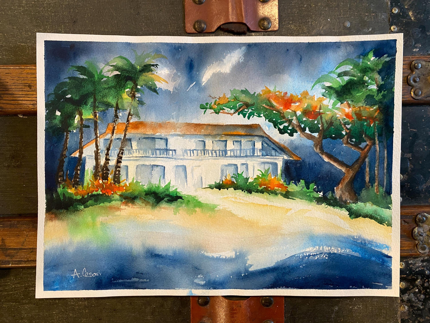 Original Watercolor Painting - Charley Young Beach, Maui