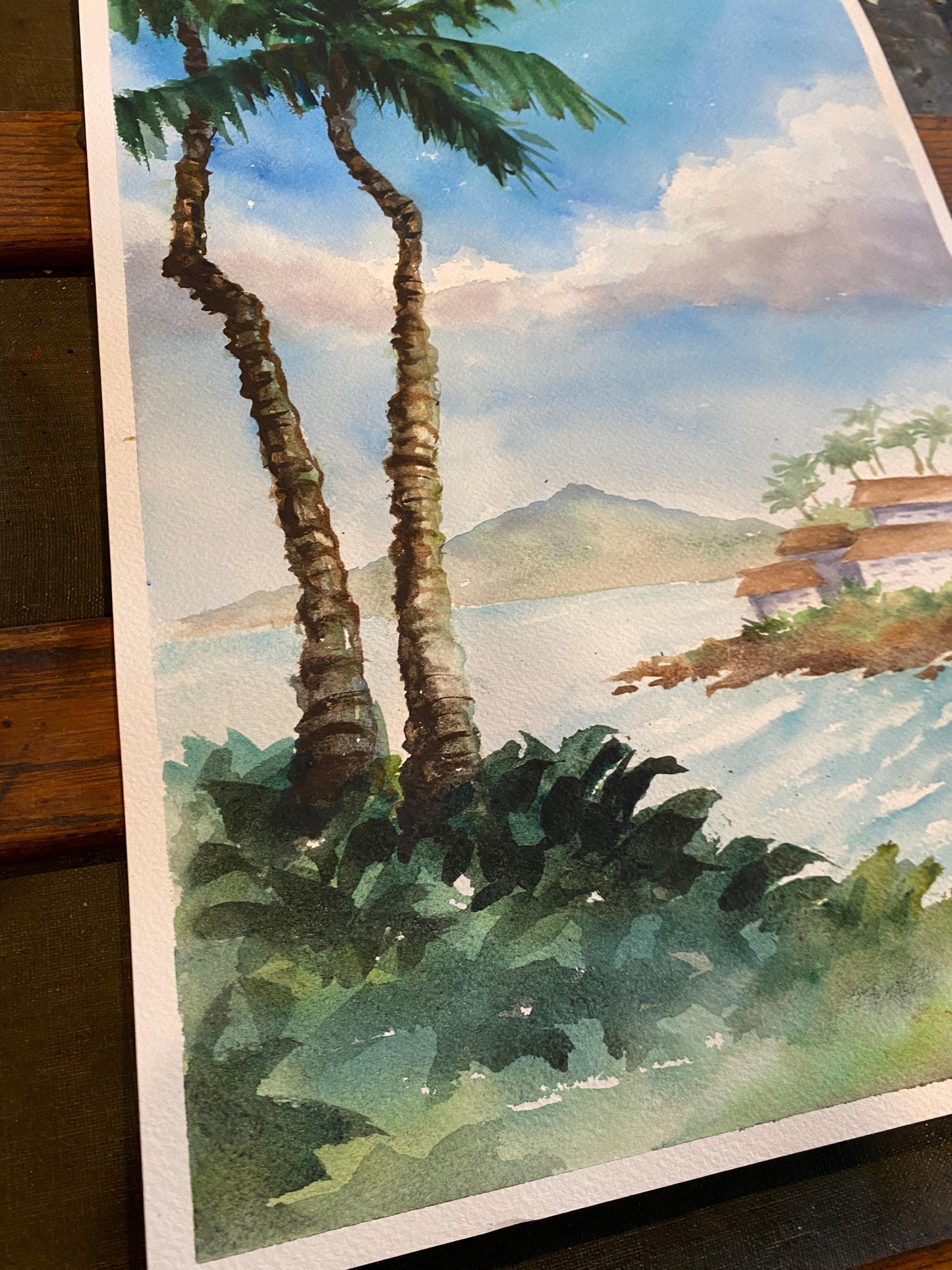 Original Watercolor Painting - Napili Bay, Maui