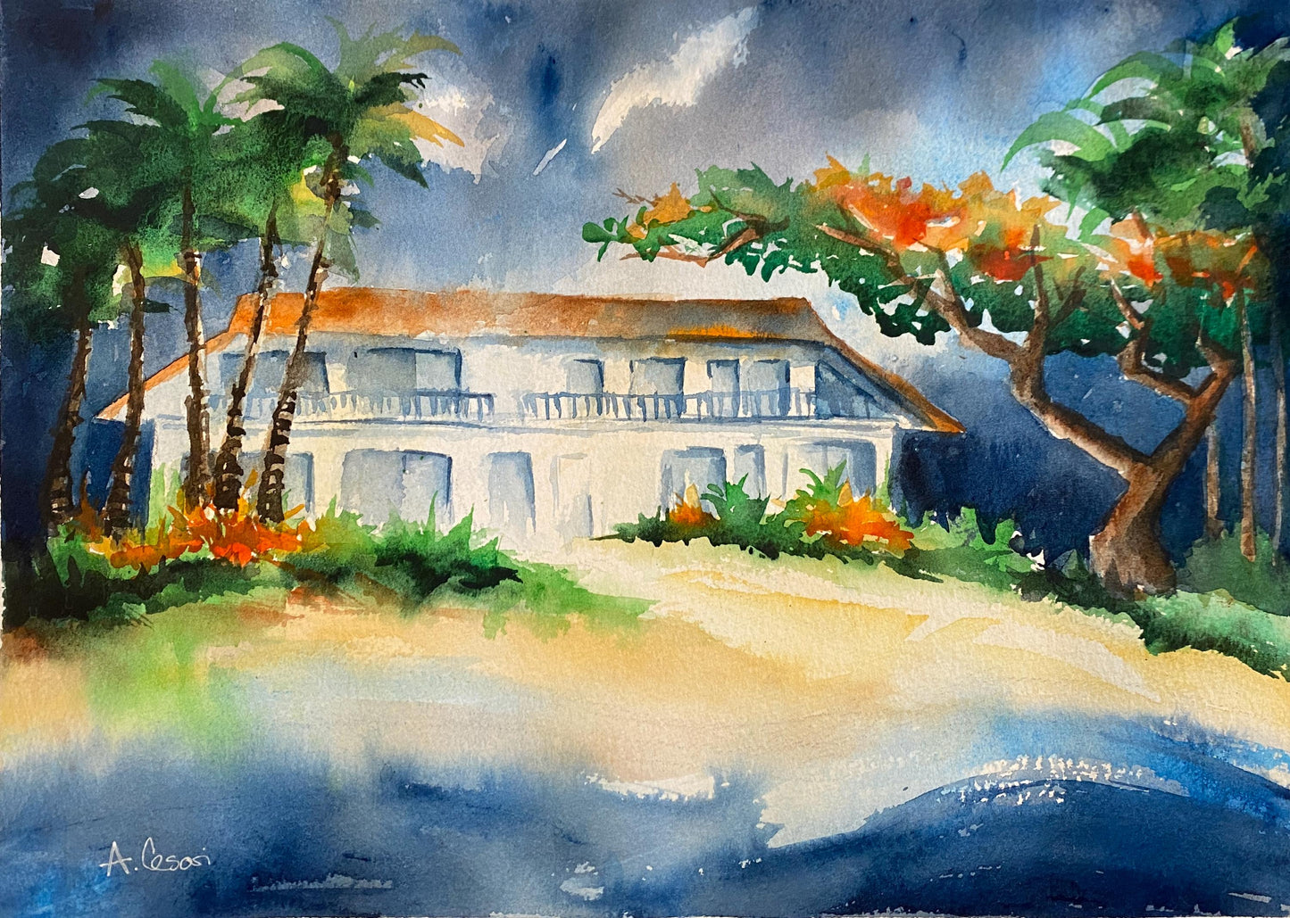 Original Watercolor Painting - Charley Young Beach, Maui