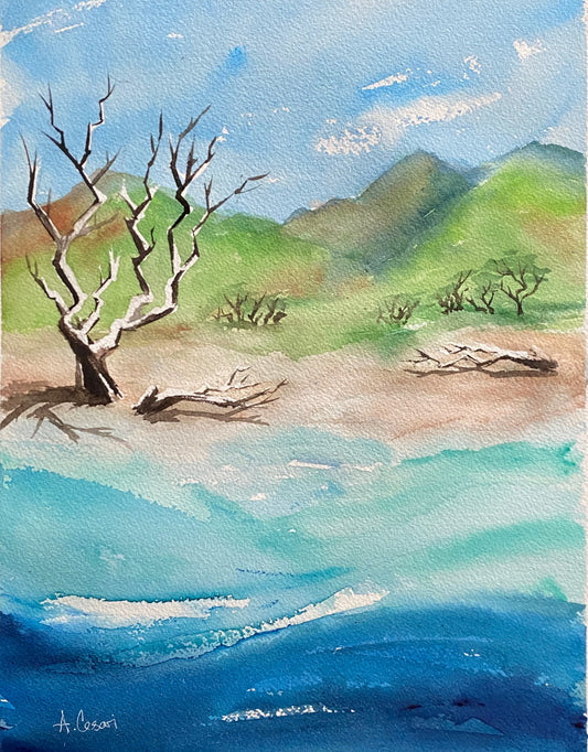 Original Watercolor Painting - Ukumehame Beach
